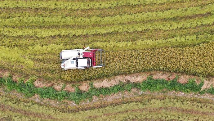 多措并舉為農(nóng)田&ldquo;解渴&rdquo;