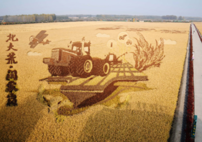 讓每一寸土地充滿希望&mdash;&mdash;北大荒繪就智慧秋收圖景