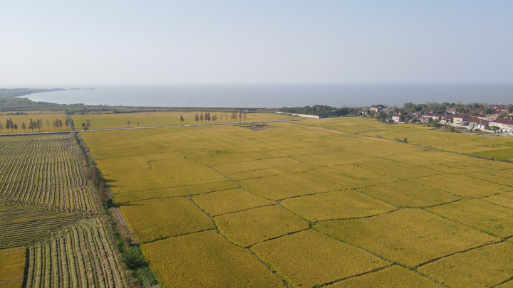 育護(hù)&ldquo;農(nóng)業(yè)芯&rdquo;　打好&ldquo;翻身仗&rdquo;