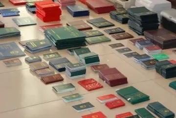 假證制售&ldquo;線下轉(zhuǎn)線上&rdquo; 亟待進一步打擊懲治