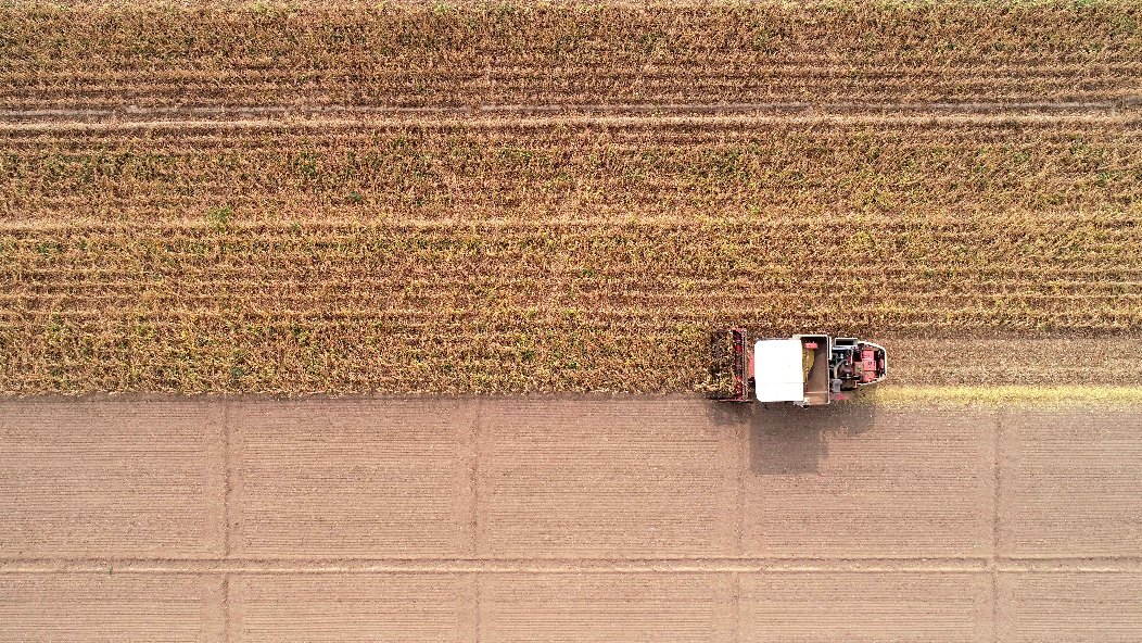 小糧庫(kù)大&ldquo;蠹蟲&rdquo;：糧食購(gòu)銷貪腐為何頻頻得手？