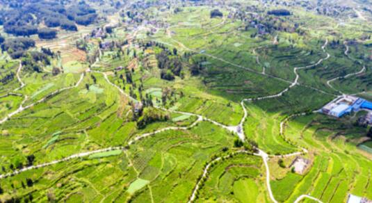 貴州省石阡縣：&ldquo;三力&rdquo;齊發(fā) 激活村級集體經(jīng)濟(jì)&ldquo;動力源&rdquo;