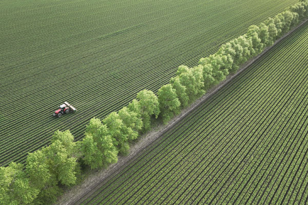 &ldquo;糧倉&rdquo;黑龍江：黑土地加強(qiáng)保護(hù)　農(nóng)田提檔升級(jí)