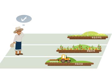 套補(bǔ)貼、無運(yùn)作&ldquo;空殼合作社&rdquo;頻現(xiàn)