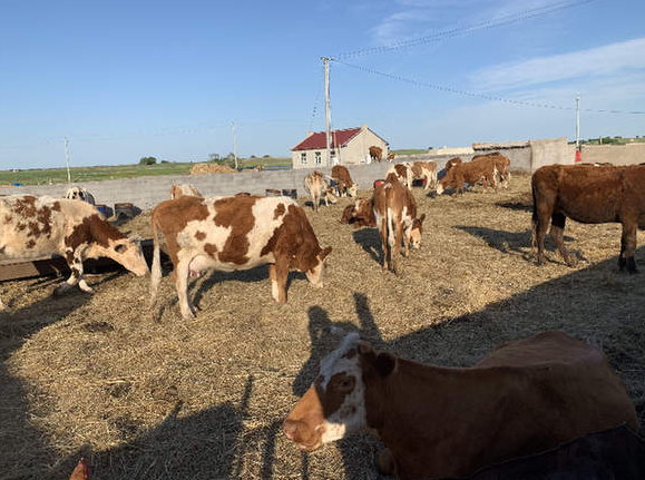 &ldquo;新調(diào)整&rdquo;能否終結(jié)自然保護(hù)區(qū)亂象？