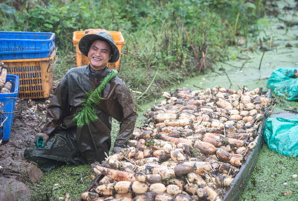 特殊之年的&ldquo;豐收答卷&rdquo;