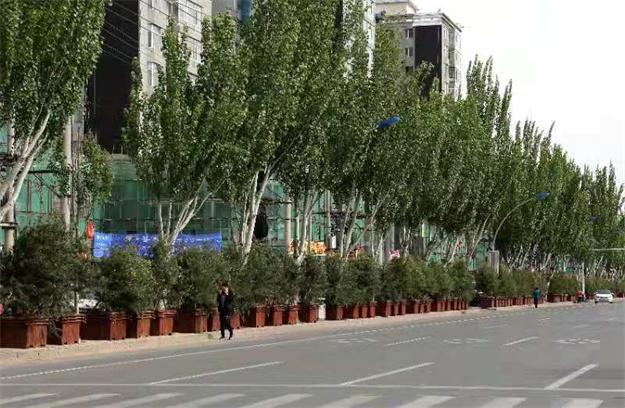 地方&ldquo;拍腦門&rdquo;造綠欠下巨債　 企業(yè)墊資種樹被拖垮