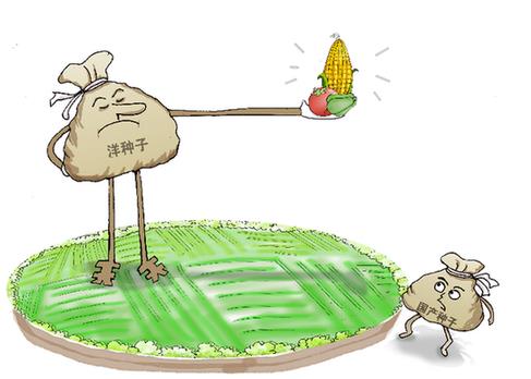 天價&ldquo;洋種子&rdquo;背后的種業(yè)之痛